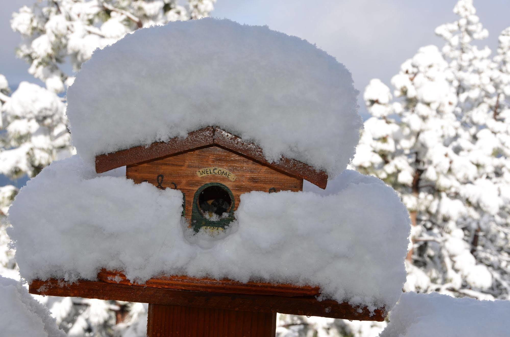 Where Eagles Fly Bed & Breakfast Elk Point Esterno foto