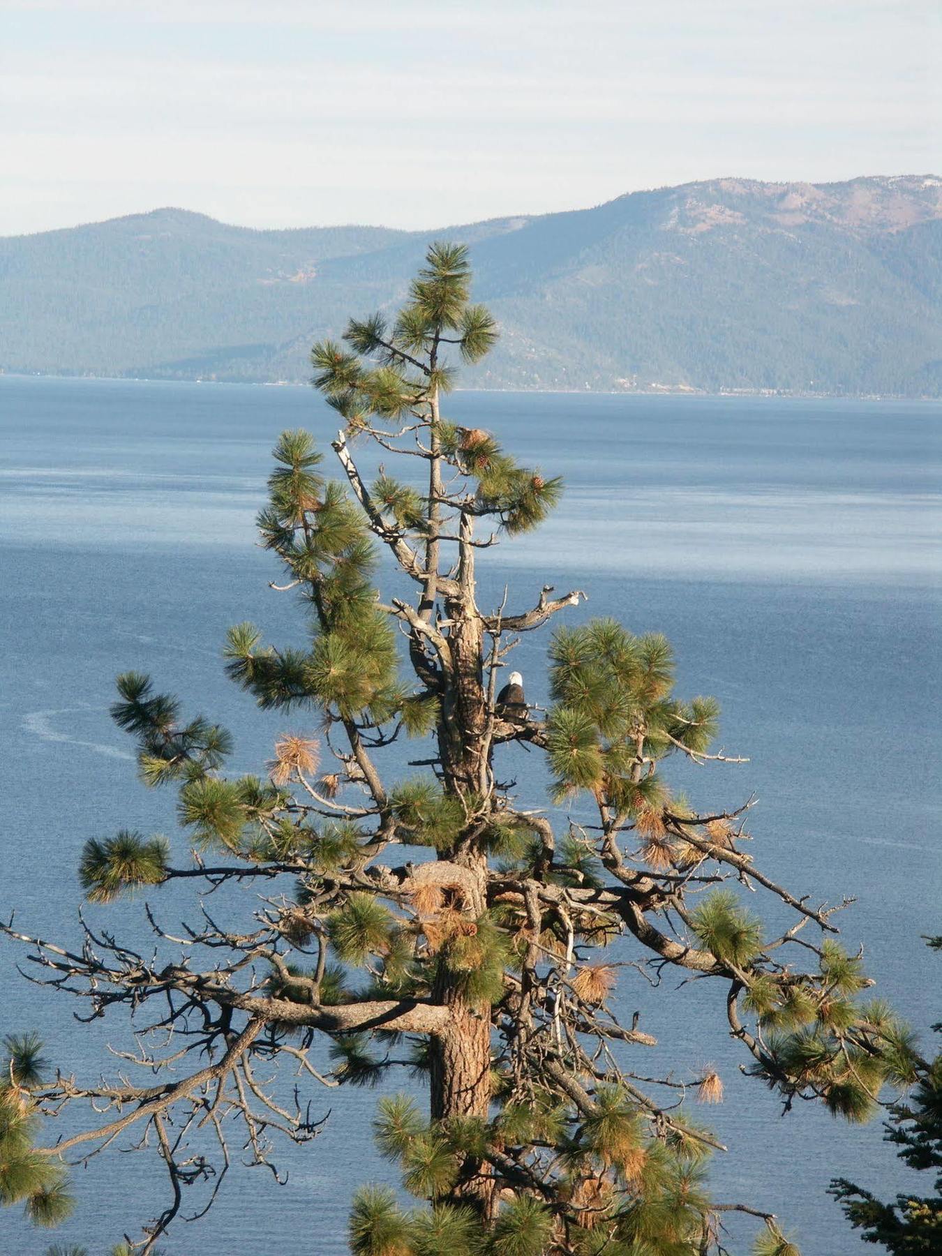 Where Eagles Fly Bed & Breakfast Elk Point Esterno foto